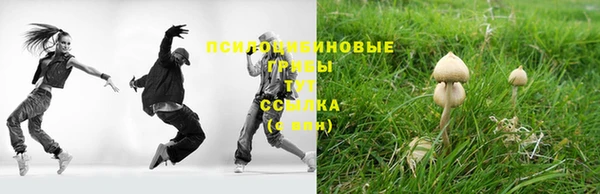 a pvp Богородск