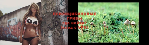 соль ск Богданович