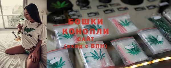 соль ск Богданович