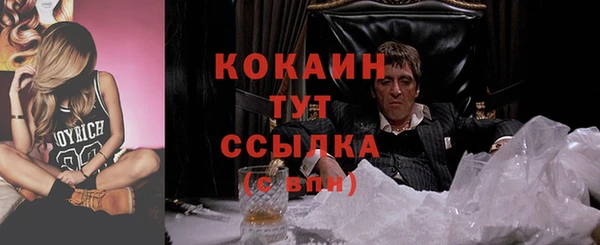 мескалин Богородицк