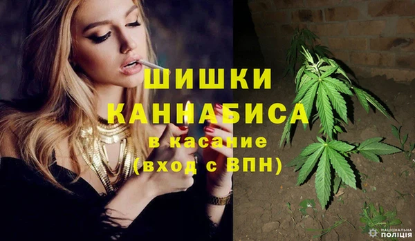 соль ск Богданович