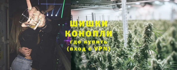 соль ск Богданович